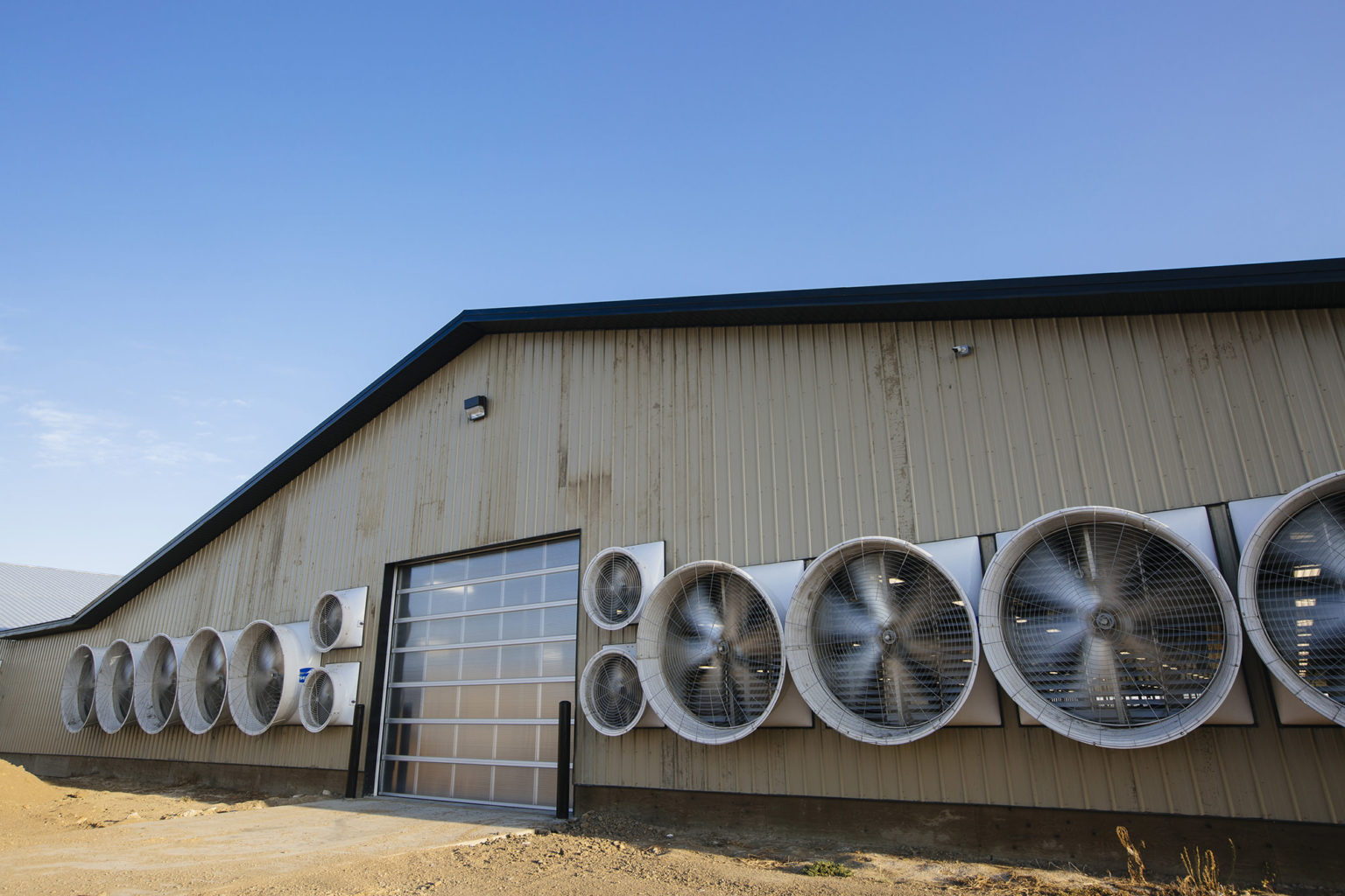 Feitsma Dairies Dairy Barn Zak's Building Group