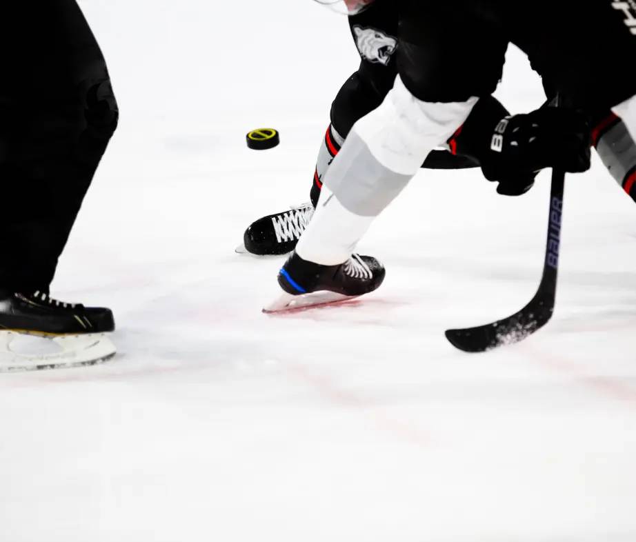Referee dropping the puck during a hockey game